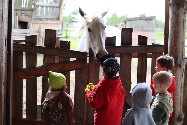 Экскурсия на ферму