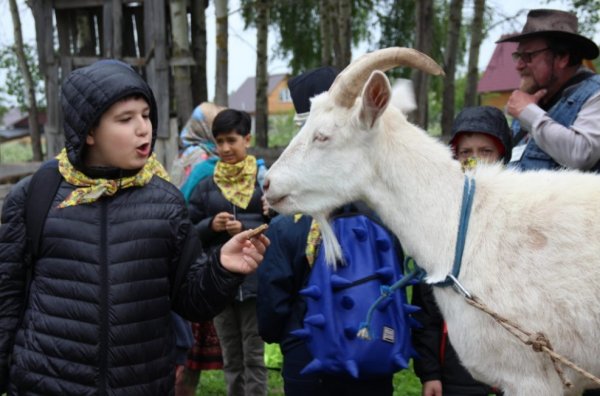 Экскурсия на ферму