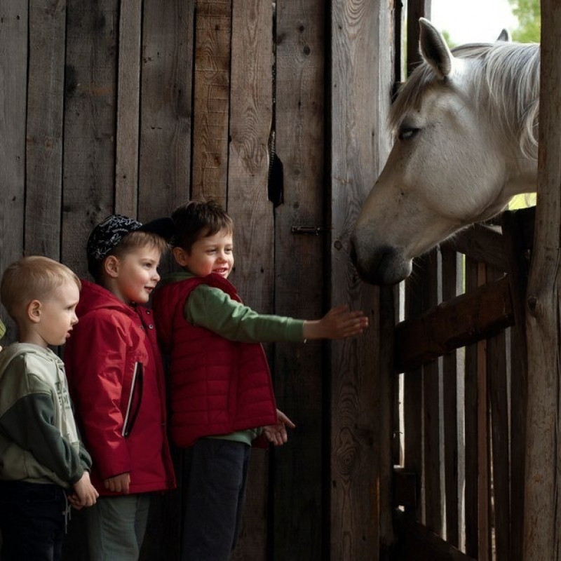 Экскурсия на ферму