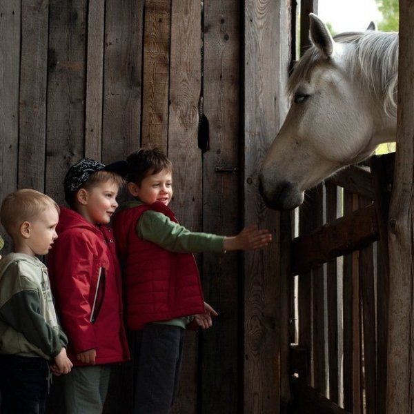 Экскурсия на ферму