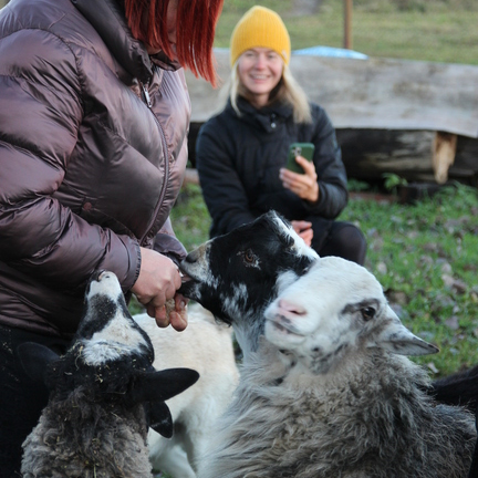 Экскурсия на ферму