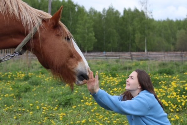 Экскурсия на ферму