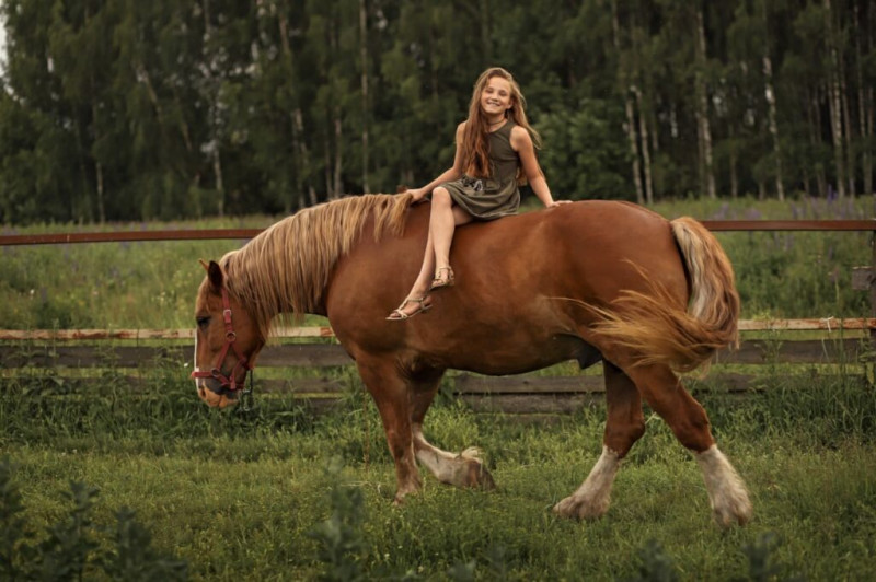 Верховая езда