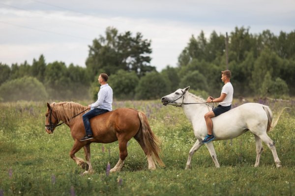 Верховая езда
